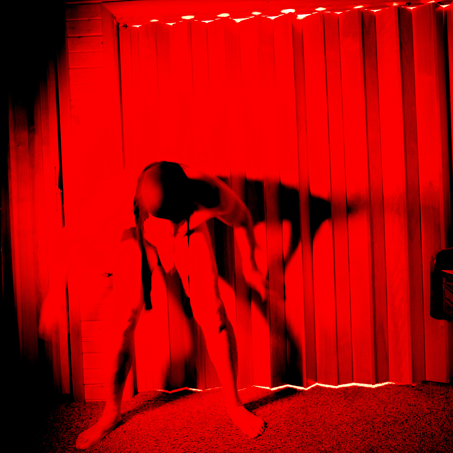 Link to Equestrian image